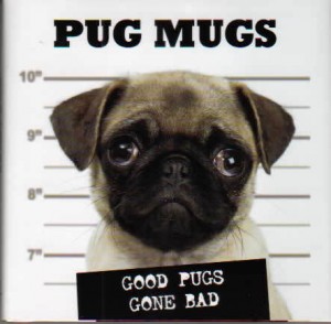 pug-mugs dog walking santa monica dog walking manhattan beach
