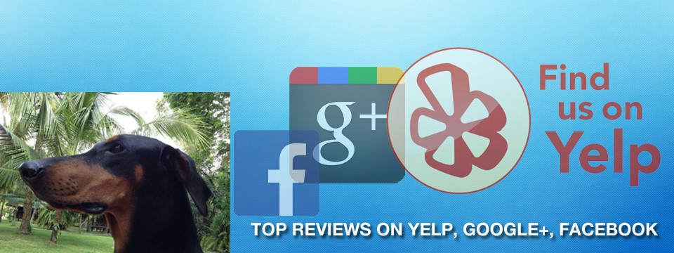 http://gotmutt.com/wp-content/uploads/2014/11/review-slider1-960x360.jpg
